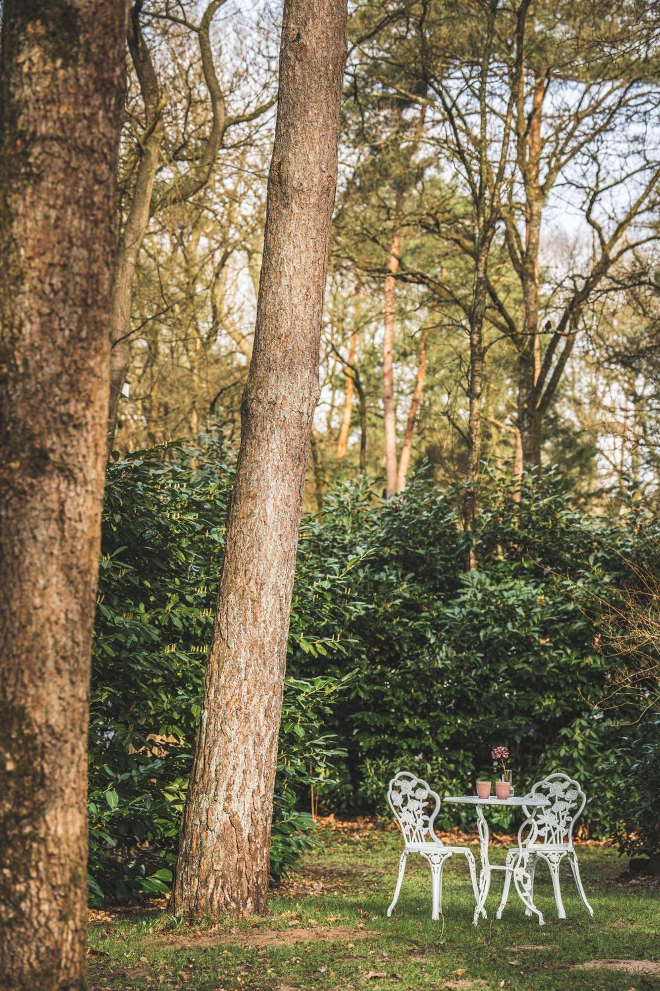 Boshuisje Op De Veluwe Nunspeet Exterior photo